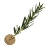  Red Poppy, Rosemary Carrier Lapel Pin