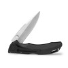  Buck Bantam Blw Folder Drop Point Black