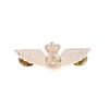  Fighter Control Officer Gold Badge Small Order the Fighter Control Officer Gold Badge today from the military specialists. Available in a small size, this badge is perfectly sized and features two butterfly clutch pins to make it ready for w