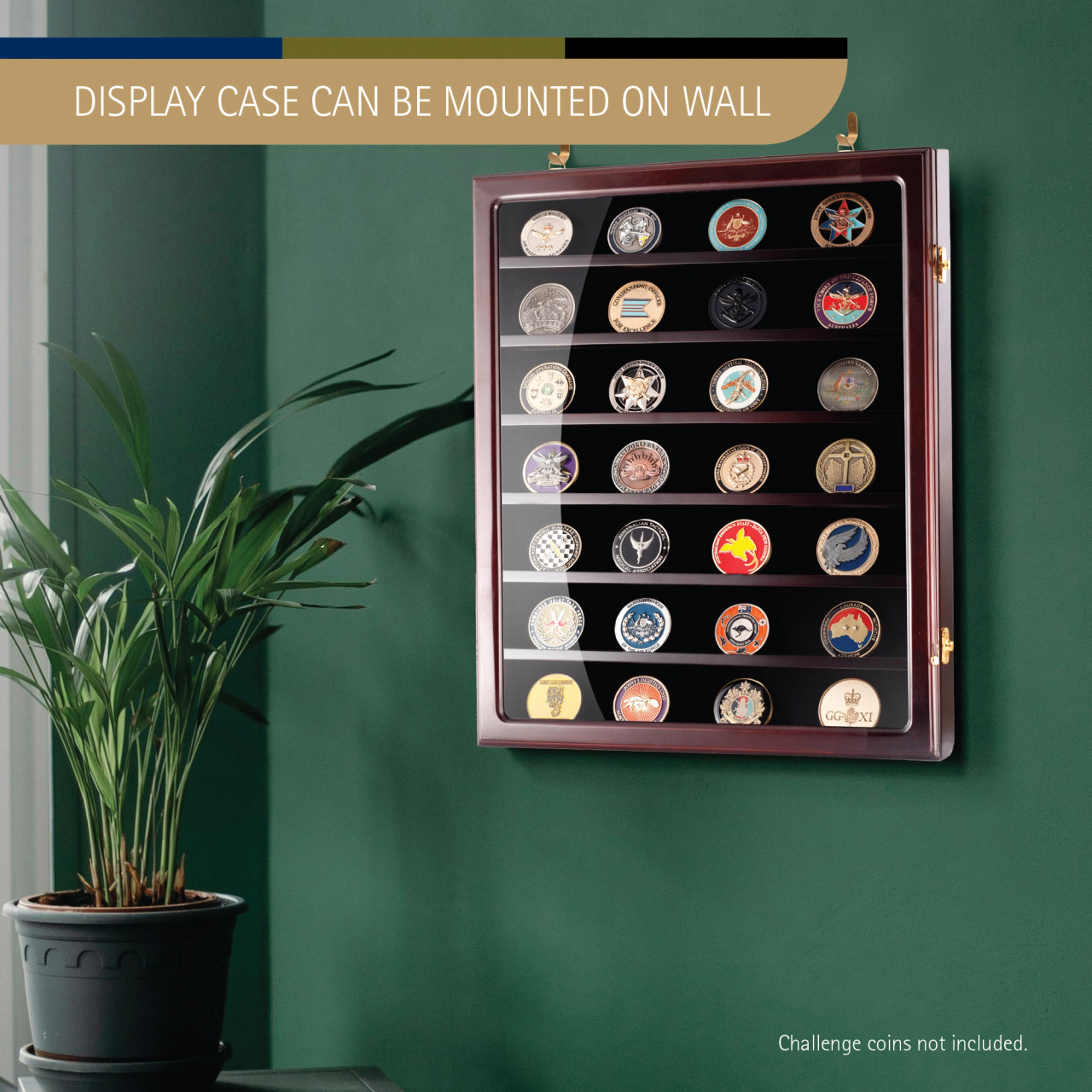 Challenge High Gloss Timber 49 x Coin Wall Mountable Display Case