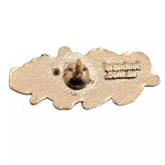  Poppy & Wattle Lapel Pin