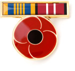  DLSM & ADM Ribbon Poppy Lapel Pin The Defence Long Service Medal may be awarded to a member who has, on or after 14 February 1975, completed 15 years qualifying remunerated service in the Australian Defence Force. This includes effici