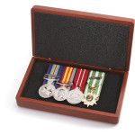  Full Size Vietnam Group 4 Court Mounted & Vietnam Jarrah Medal Case