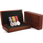  Full Size Vietnam Group 3 Logistics & Support Court Mounted & Vietnam Jarrah Medal Case
