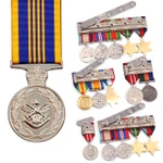  Defence Long Service Medal (DLSM)