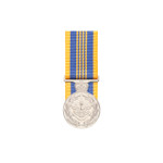  Defence Long Service Medal (DLSM)