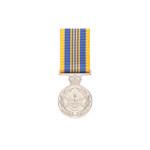  Defence Long Service Medal (DLSM)