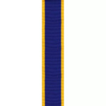  Reserve Force Medal (RFM)