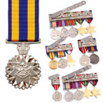  Defence Force Service Medal (DFSM)