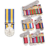  Defence Force Service Medal (DFSM)