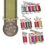  National Emergency Medal (NEM)