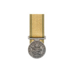  National Emergency Medal (NEM)