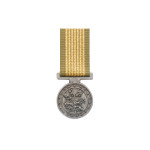  National Emergency Medal (NEM)