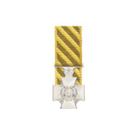  Conspicuous Service Cross