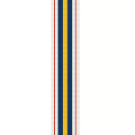  National Police Service Medal (NPSM)