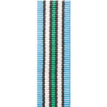 UNMISS UN Mission in South Sudan Medal Image 8 