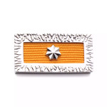 Meritorious Unit Citation with Star
