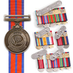  SES NSW Long Service Medal