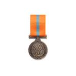  2001 International Year of the Volunteer Medal
