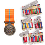 2001 International Year of the Volunteer Medal