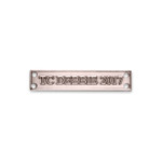 TC Debbie 2017 Medal Clasp Image 1 
