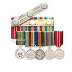  Afghanistan Active Service + DLSM + Border Protection Replica Set