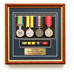  Iraq Active Service + Border Protection Replica Set