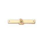 Western Australia Volunteer Fire Service 30 Year Medal Clasp Image 1 