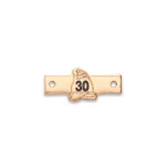 Western Australia Volunteer Fire Service 30 Year Medal Clasp Image 2 
