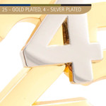  25 4  Limited Edition Lapel Pin