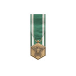  US Navy and Marine Corp Commendation Medal