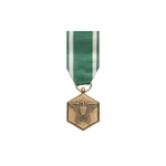 US Navy and Marine Corp Commendation Medal
