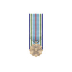  US Joint Service Achievement Medal