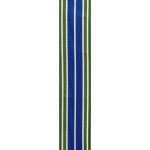  US Army Achievement Medal