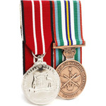  ADM + ANSM Replica Medal Set