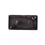  AFP Operation IRONSIDE Citation