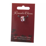  Tri-colour Ribbon and Poppy Silver-plated Spacer Charm