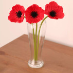  Set of Three Red Long Stem Poppies
