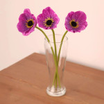  Set of Three Purple Long Stem Poppies