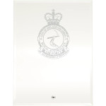  No 24 (City of Adelaide) Squadron (24SQN) Essence Glass Award