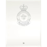  No 3 Aeromedical Evacuation Squadron (3AES) Essence Glass Award