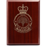  No 96 Wing (96WG) Omega Timber Award