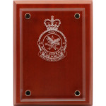  No 42 Wing (42WG) Delta Floating Glass Award