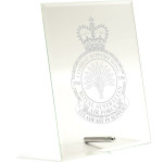  No 396 Combat Support Wing (396CSW) Essence Glass Award