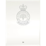  No 396 Combat Support Wing (396CSW) Essence Glass Award