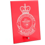  No 3 Aeromedical Evacuation Squadron (3AES) Nebula Red Glass Award in Gift Box