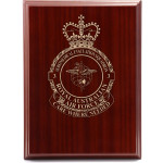  No 3 Aeromedical Evacuation Squadron (3AES) Omega Timber Award