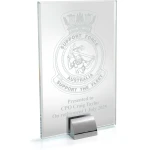 Support Force Alpha Glass Award Image 0 