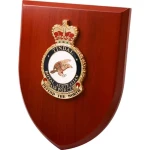 RAAF Tindal Plaque An Exceptional RAAF Tindal Plaque order now. This beautiful plaque features a 100mm full colour enamel crest set on a 200x160mm timber finish shield. Presented in a stylish silver gift box with form c Image 1 