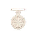  Distinguished Service Medal 1991 (DSM)